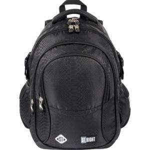 Shiny Snake 4 compartiment 17 inch rucsac școlar școlar cu 4 compartimente