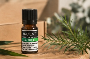 Ulei esențial Tea Tree (Arbore de Ceai) 10 ml – 100% pur