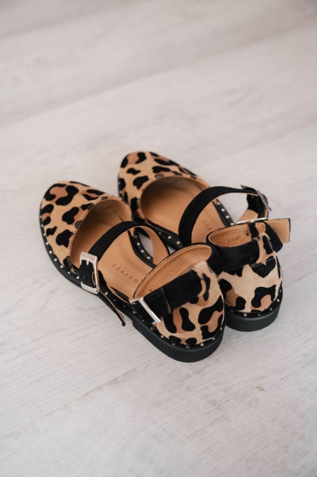 Pantofi - Double Belt - Jaguar - 2
