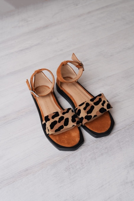 Sandale - Coquette - Safari - 5