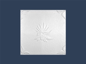 NATURA