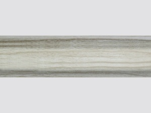 Stejar argintiu