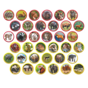 Set magnetic Montessori - Animale din Eurasia - Img 2