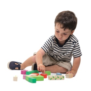 Cuburi din Lemn pentru construit cu tematica Gradina – Nursery Blocks cu Funcții și Imagini - Tender Leaf Toys - Img 5