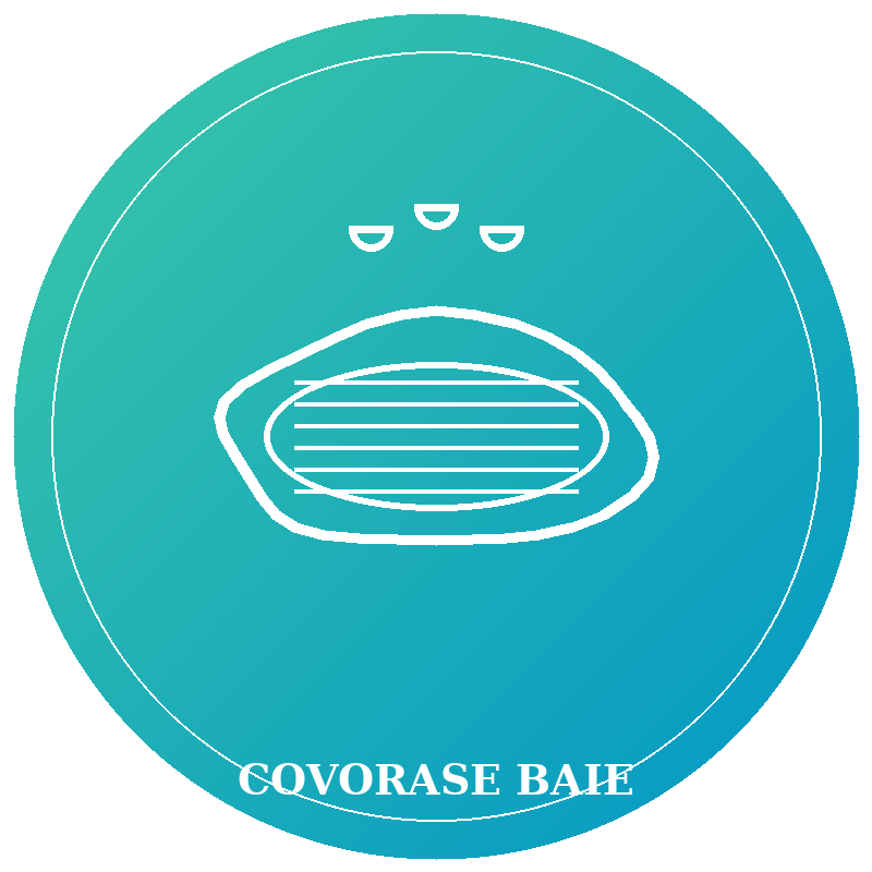 Covorase baie