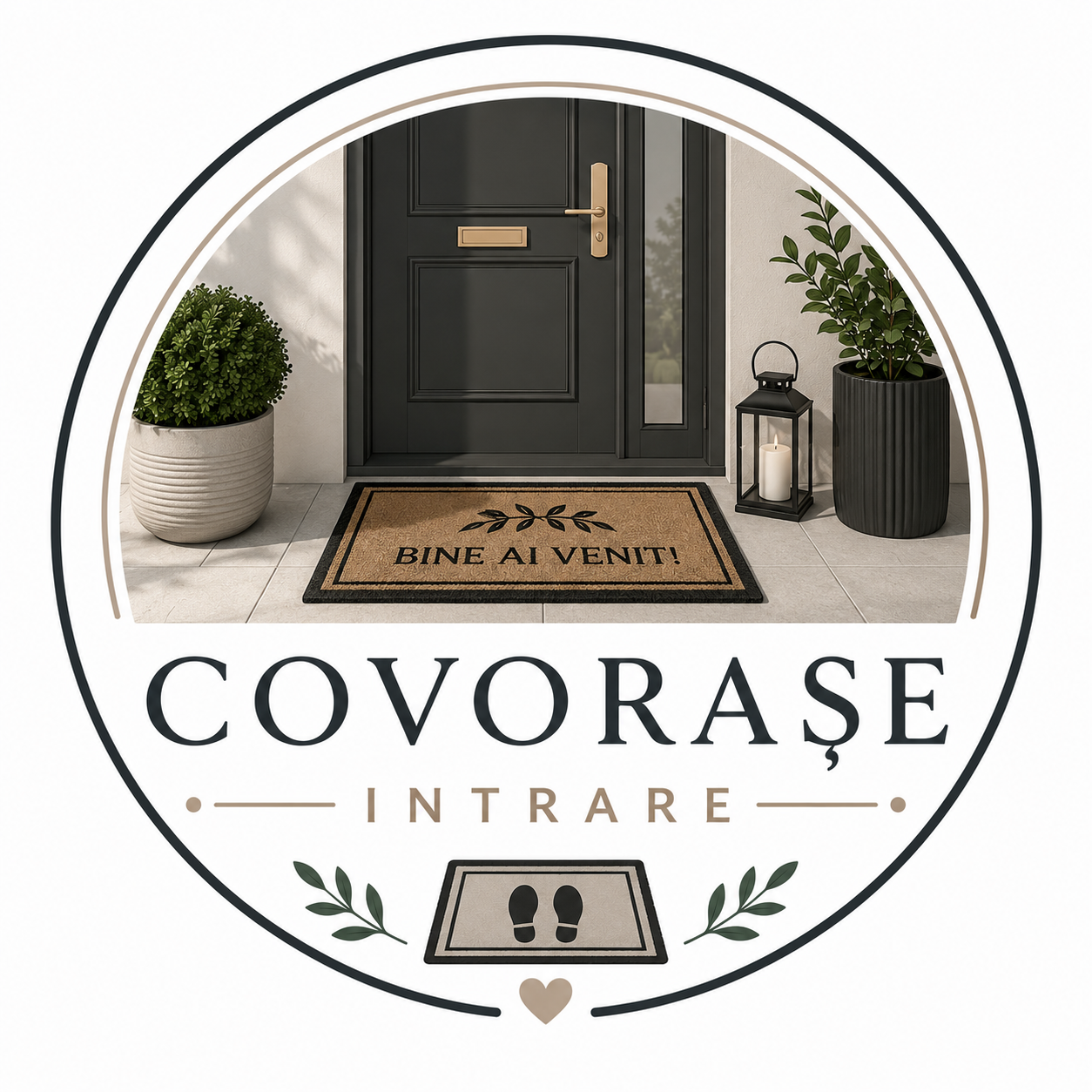 Covorase intrare