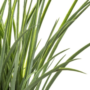 Planta decorativa Atmosphera, iarba in ghiveci impletit, 18×46 cm, maro natur - Img 2