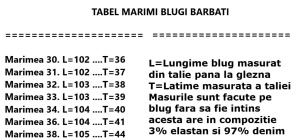 BLUGI BARBATI - Img 3