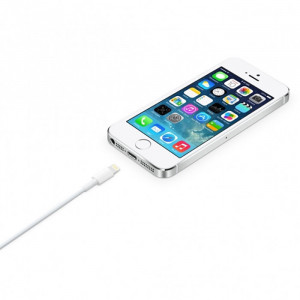 Кабел за зареждане и данни APPLE USB Type A към Lightning 2m бял (MD819) - Img 4