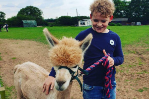 Alpaca Walk and Meet the Animals For Two at Lucky Tails Alpaca Farm
