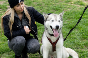 Hike with Huskies and Entry to Eagle Heights Wildlife Foundation for Two - Img 4