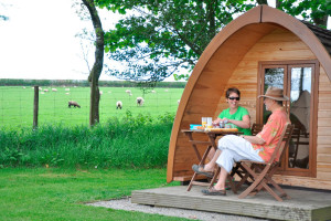 One Night Glamping Pod Break in Devon - Img 2
