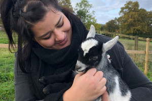 Pygmy Goat Experience for Two - Img 3