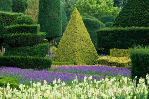 Visit The World's Oldest Topiary Garden at Levens Hall with Lunch for Two - Img 3