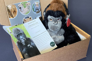 Visit to Port Lympne Reserve and Truck Safari for a Family of Four with Shared Animal Adoption - Img 3