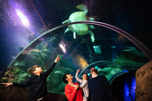 Visit to SEA LIFE London for Two Adults and Two Children - Img 3