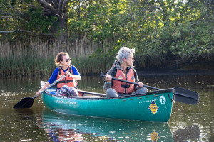 Canoeing for Two in the New Forest National Park - Img 3