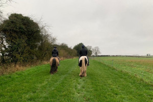 Horse Riding Trek for Two at Charnwood Forest Alpacas - Img 4