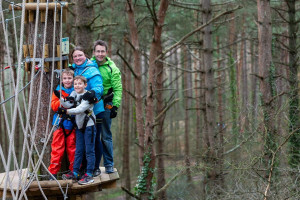 Junior Treetop Adventure Plus for Two with Go Ape - Img 4