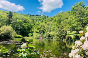 Visit to Canonteign Falls with Afternoon Tea for Two
