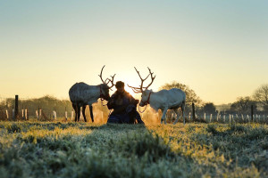 Meet and Feed the Reindeer with a Hot Chocolate for Two at Somerset Reindeer Ranch