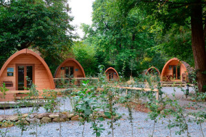 Three Night Glamping Break for Two at Langstone Manor, Dartmoor - Img 4