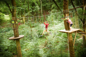 Treetop Challenge for Two with Go Ape - Img 2