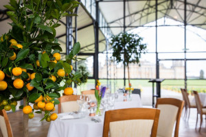 Visit to Blenheim Palace and Afternoon Tea for Two - Img 3