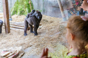 Visit to Chessington World of Adventures for Two - Img 3