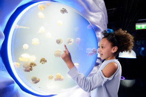Visit to SEA LIFE London for Two Adults and Two Children - Img 4