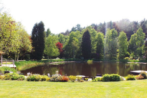 Weekday Relax and Revive Spa Day with Treatments and Lunch at Moddershall Oaks Country Spa Retreat - Img 3