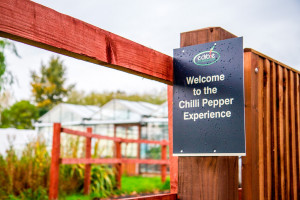 Chilli Afternoon Tea for Two with Gourmet Tasting - Img 2
