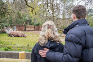 Exclusive Black Rhino Experience with Entry Tickets for Two to Paignton Zoo - Img 3