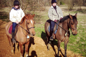 Two Hour Horse Riding in Windsor Great Park - Img 3