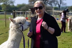 Walk Alpacas, Groom Donkeys and Meet The Meerkats for Two at Lucky Tails Alpaca Farm - Img 3