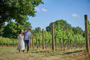 Chapel Down Wine Tasting and Vineyard Tour For Two