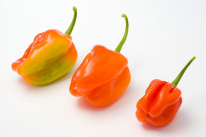 Chilli Afternoon Tea for Two with Gourmet Tasting - Img 3