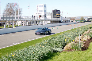 Five Supercar Driving Experience at Goodwood Motor Circuit - Img 3