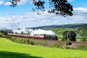 Garden of England Steam Train Trip and Pullman Style Dining with Champagne and Wine for Two