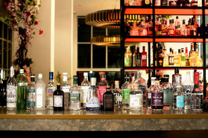Gin Lover's Tasting Experience with Three Course Lunch for Two at Skylon - Img 3