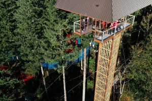 100ft Plummet at Zip World for Two - Img 2