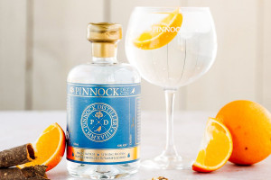 Gin Tasting Experience at Castle Gin School - Img 3