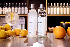 Jensen's Gin Experience at Bermondsey Distillery for Two