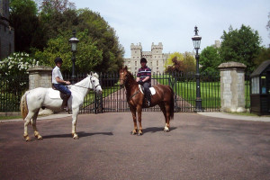One Hour Horse Riding for One Adult and One Child in Windsor Great Park - Img 2