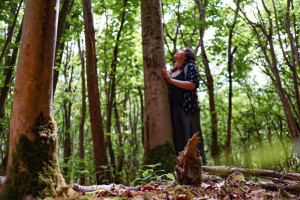 Outdoor Yoga and Forest Bathing - Img 2