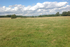 Three Night Luxury Glamping Pod Stay for Two at New Lodge Farm, Rockingham Forest - Img 4