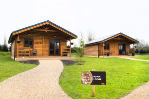 Weekend Luxury Lodge Stay with Dining and Hand Feeding Experience for Two at The Big Cat Sanctuary - Img 2