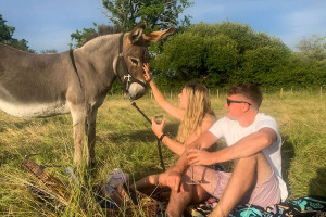Donkey Meet, Greet and Walk with Picnic at Dashing Donkeys - Img 4
