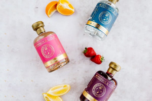 Gin Tasting Experience at Castle Gin School - Img 4