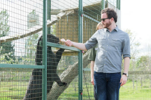 Luxury Lodge Stay with Dining and Hand Feeding Experience for Two at The Big Cat Sanctuary - Img 4